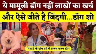 ये मामूली Dog नहीं लाखों का खर्च, और ऐसे जीते है जिंदगी || Dog Show || KP NEWS || Esha Sahu