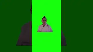 Cobra Kai Memes | Green Screen
