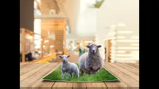 Pop up effect