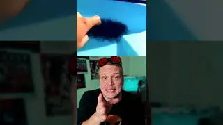 Если увидел такой мох, не трогай его руками