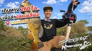 ภารกิจตามล่าปลาเอเลี่ยน ต้องเดินทางมาไกลถึง จ.นครสวรรค์