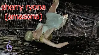 sherry birkin (amazona mod) (dsc/リョナ) resident evil 6