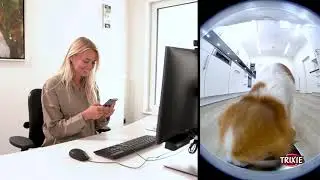 TRIXIE Automatic Feed Dispenser TX8 Smart: Feeding via App!