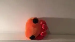 Curiosity Box in a nutshell