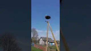 Вся ДЕРЕВНЯ в Цветах!! В Козлятах и Телятах!!