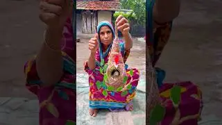 Amazing Handmade Baya Weaver Bird Nest Using Coconut Fiber..! 🥥🪺 
