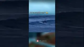 real mermaids caught on camera 😱 #facts #ocean #expensive #fish