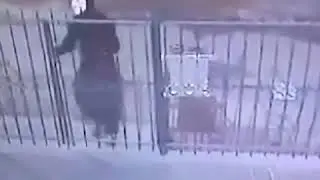 ДАР АШТ САНДУКИ ХАЙРИЯРО ДУЗД ЗАД!