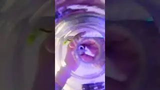 Водоворот  в стакане и я от первого лица