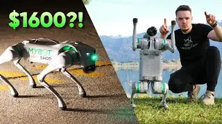 An Affordable Spot Alternative?! | Unitree Go2 Air Review