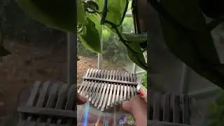 Mother/EarthBound Beginnings - Eight Melodies kalimba cover