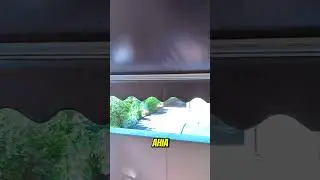 The typical alpha male doesn't skip practice, he complains after doing it 