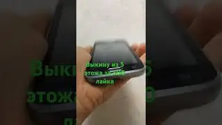 23 мая 2024 г.