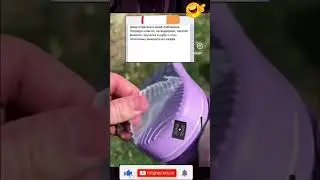 Анекдот про моль