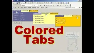 Create the "illusion" of Colored Tabs on an Access Form ~ DataPig