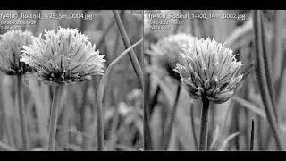 Getting the Best From: Rodinal Part 2 - Best Dilutions for Scanning and Darkroom Printing.