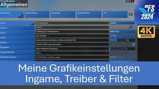 Meine Grafikeinstellungen (Ingame, Treiber & Filter) | MSFS 2024