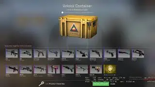 CSGO CASE OPENING 2! FEAT: FLEX_CHADWELL