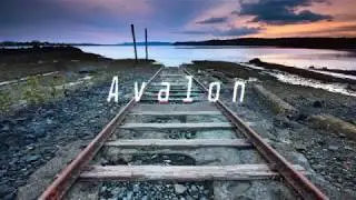 Firefl!es x Neeon - Avalon