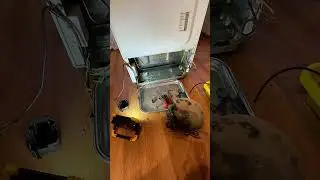 Samsung RL28FBSW1/BWT капитальный ремонт