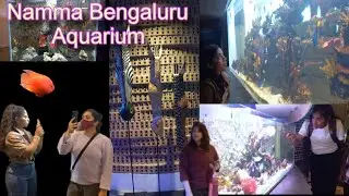 Namma Bengaluru Aquarium | Cubbon Park | Bangalore | Karnataka