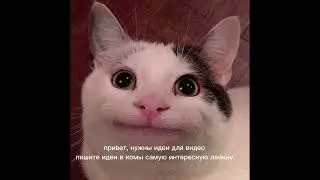 нужна ваша помощь