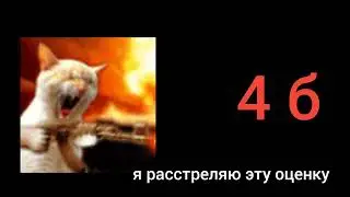 сколько баллов ты получил?