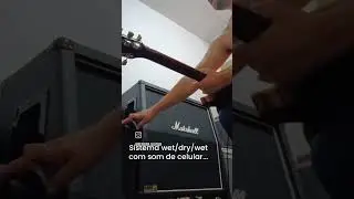 wet/dry/wet system! sounds great!