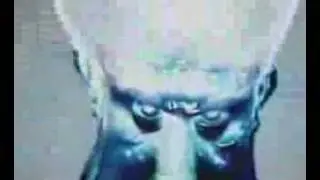 Collapse - planet of apes