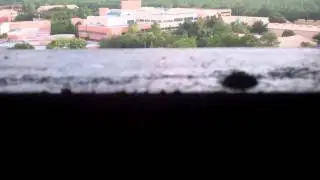 towershitcock
