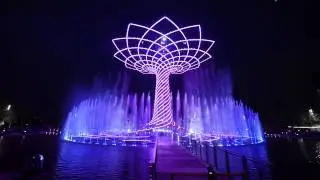 Roberto Cacciapaglia - Wild Side (Tree Of Life Show)