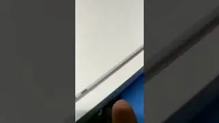 находка на помойке Санкт-Петербурга 