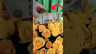 Unique Color of flowers #shorts #love #unique #flowers #florist #bouquet #money #viralshorts #gift