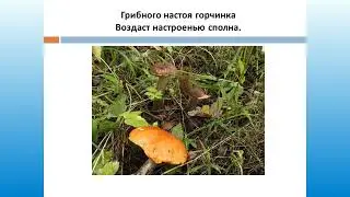 Смирнова Галина Александровна. Боровская СБ. Г  Тувакова 
