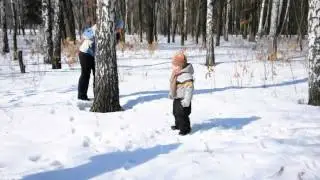 Новые Петровцы. Парк