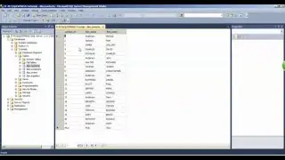 SQL SELECT USING TOP PERCENT KEYWORD - how to SELECT USING TOP PERCENT KEYWORD