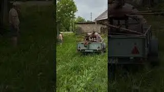 покупка единицы для сенокоса #сенокос #гвр