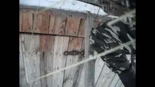 утро понаехавшего в деревню.