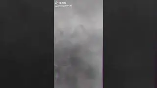 Он идёт Диназавр.