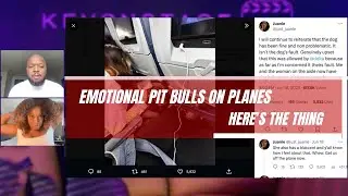 Emotional Pit Bulls On Planes | 