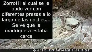 Fototrampeo junio 2023 Almogia