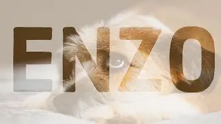 ENZO