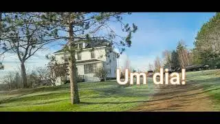 Um Dia!
