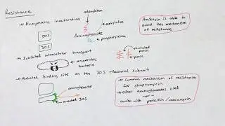 Aminoglycosides