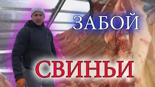 Деревенский влог// ЗАБОЙ СВИНЬИ @канал Равиль и Света @деревня 