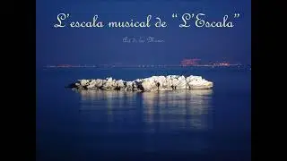 Felicitació Canal El Cargol 24