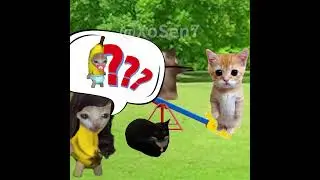 BANANA CAT 🍌🐱 BABY PLAYS ON SEESAW AND HURTLES UP TO THE SKY 