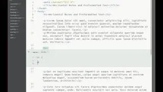 11  Horizontal Rules and Pre-formatted Text  | HTML Course