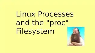 Linux Processes and the proc File System