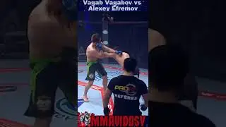 Knockout Punches ProFC 62 - Vagab Vagabov vs Alexey Efremov 